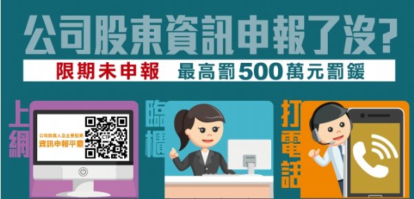 公司股東資訊申報說明